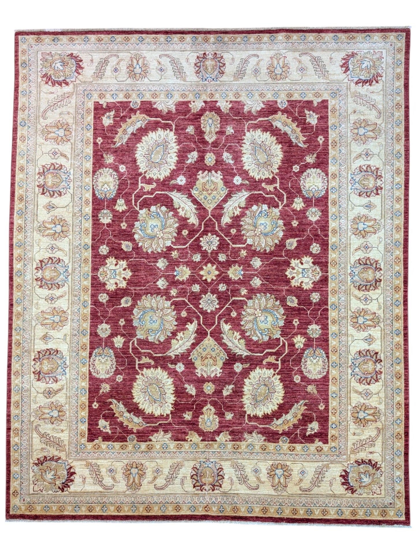 Tappeto Ziegler afgano, annodato a mano, 246 x 201 cm, fondo rosso melograno con cornice beige e disegno contemporaneo.