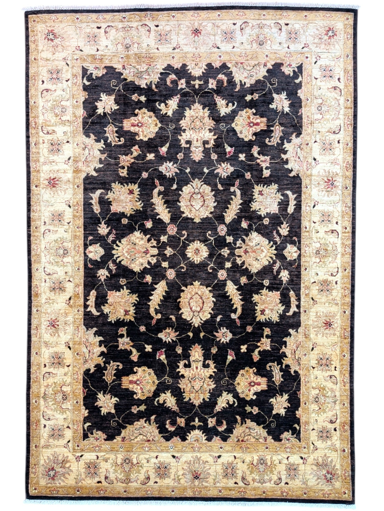 Tappeto Ziegler afgano, annodato a mano, 249 x 167 cm, colori vegetali con disegno contemporaneo.