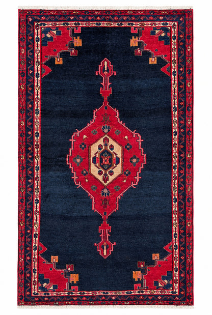 Hamadan rug 200x119cm