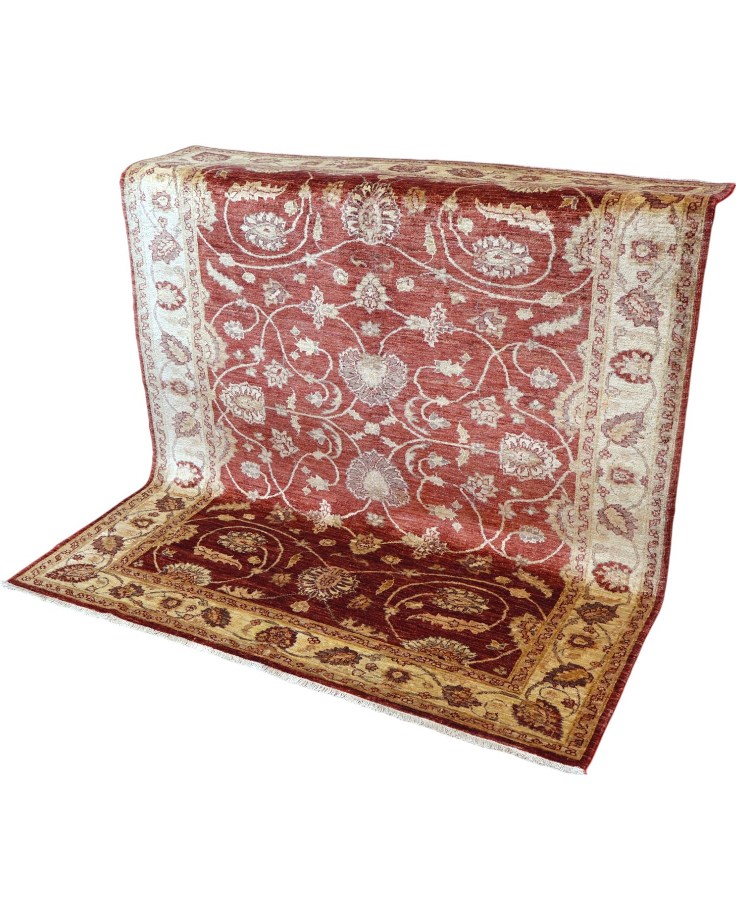 Tappeto Ziegler rettangolare 183x157 cm, fondo rosso con cornice beige e motivi floreali, annodato a mano in lana e cotone con colori vegetali, provenienza Afghanistan.
