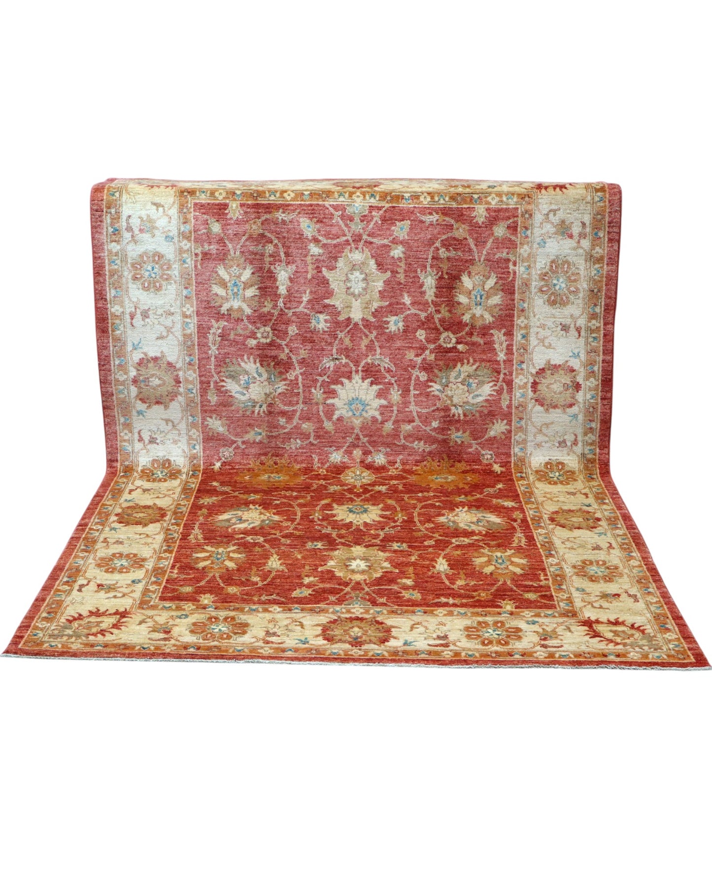 Tappeto ziegler  245x171cm