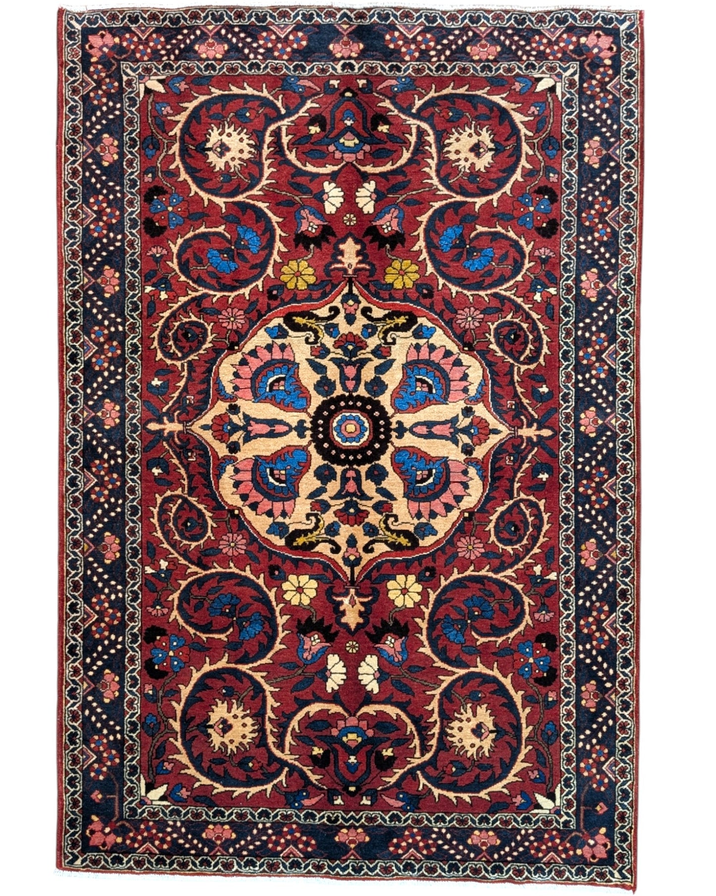 Tappeto Bakhtiyari rosso mattone con cornice blu e motivi decorativi, annodato a mano in Persia in lana e cotone tinti con colori vegetali.