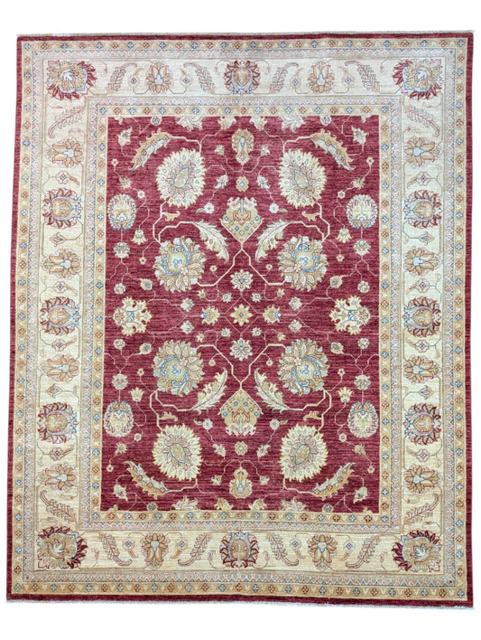 Tappeto Ziegler afgano, annodato a mano, 246 x 201 cm, fondo rosso melograno con cornice beige e disegno contemporaneo.