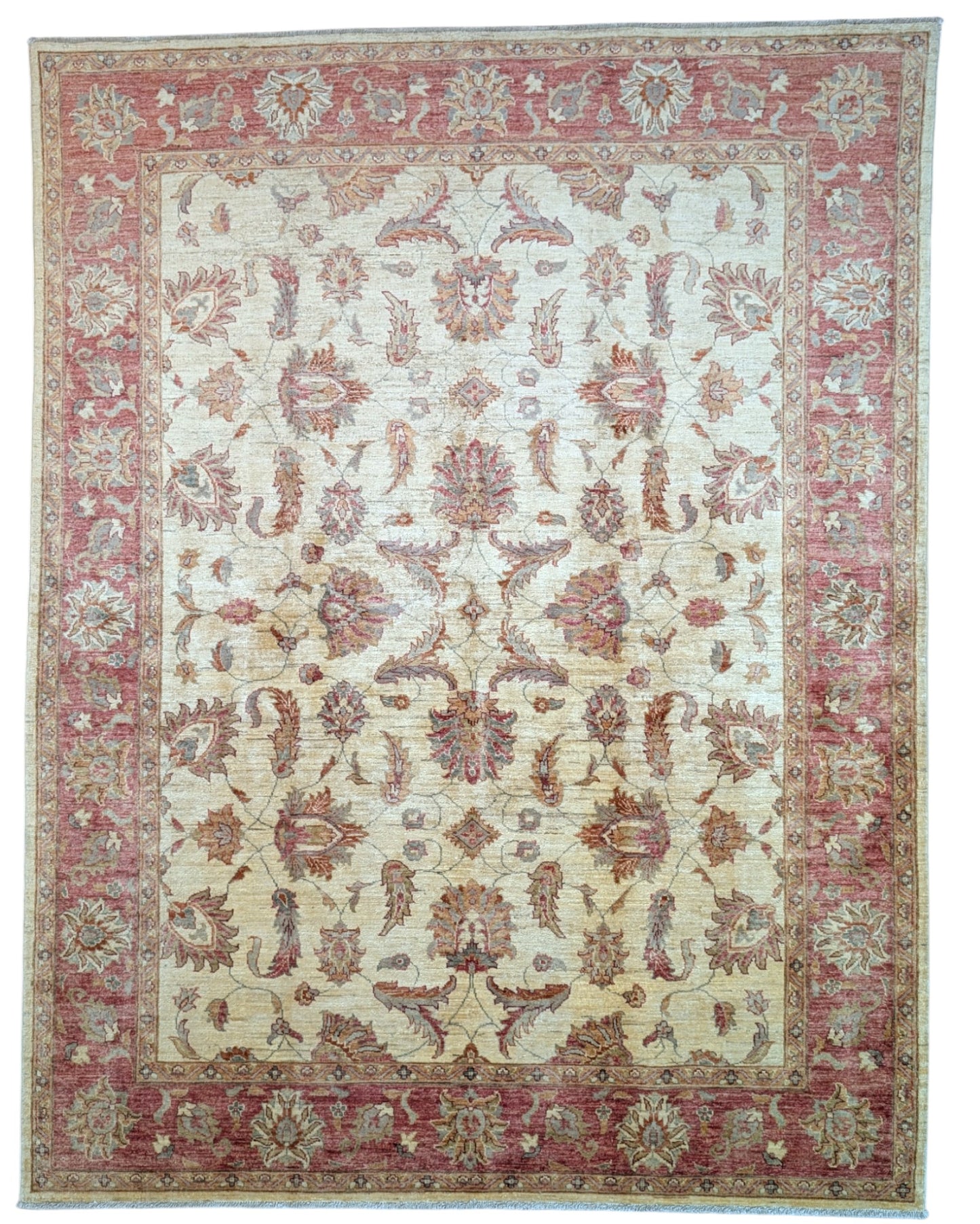 Tappeto Ziegler afgano, fondo beige con cornice rossa e disegno contemporaneo, annodato a mano, 250x194 cm.