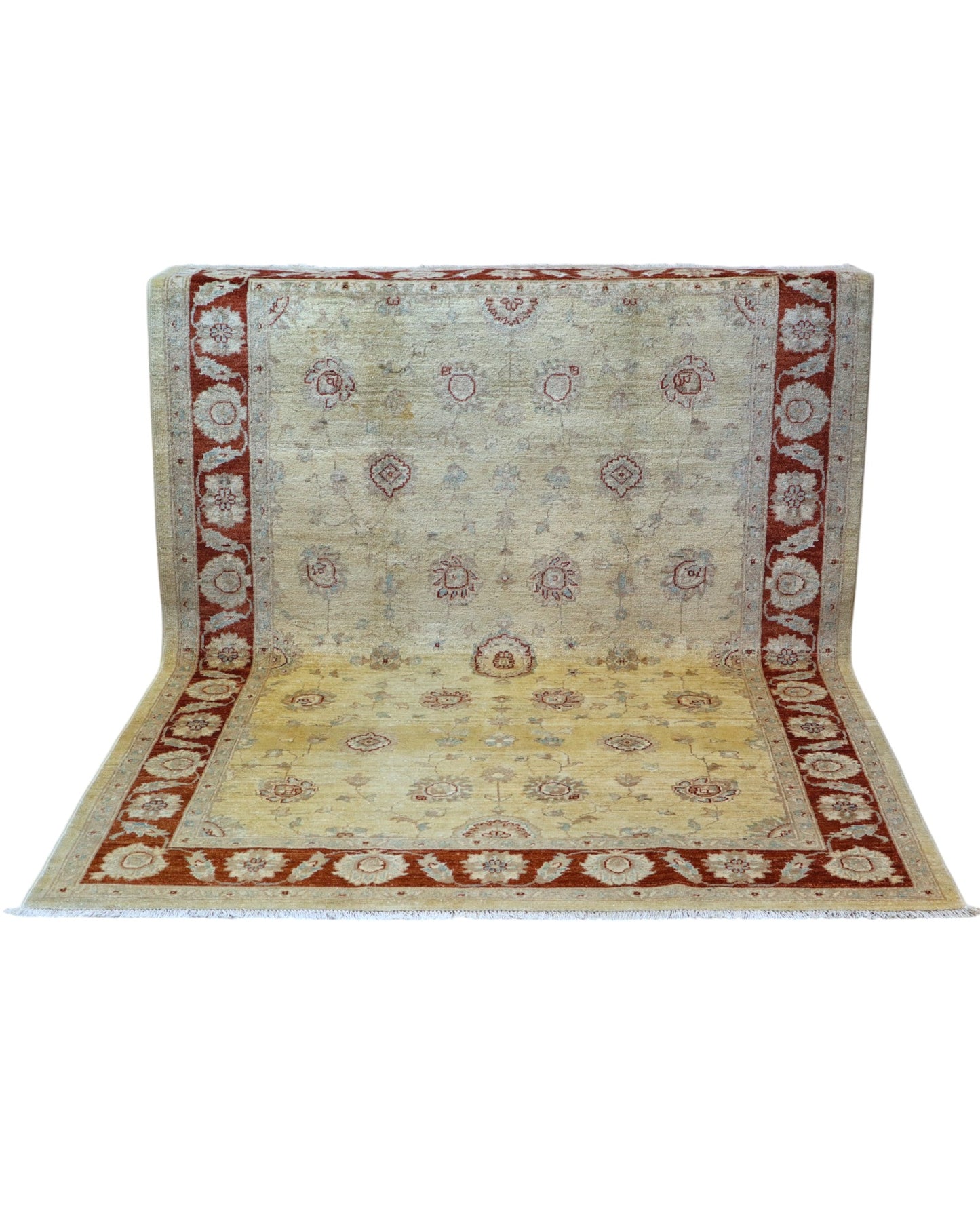 Ziegler rug 233x172cm