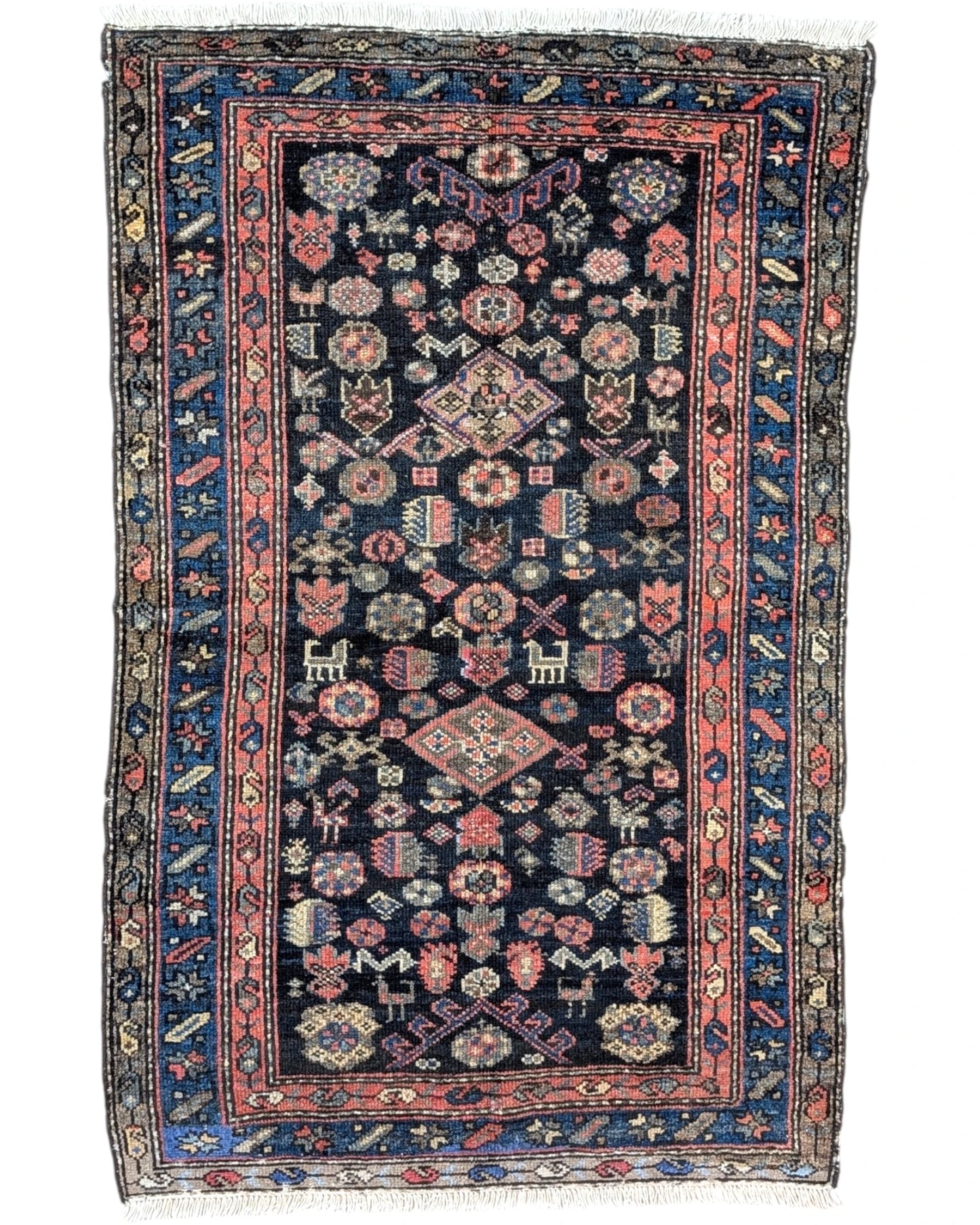 Tappeto Persiano Malayer Antico 161x102 cm in lana con medaglioni romboidali e bordura tradizionale.