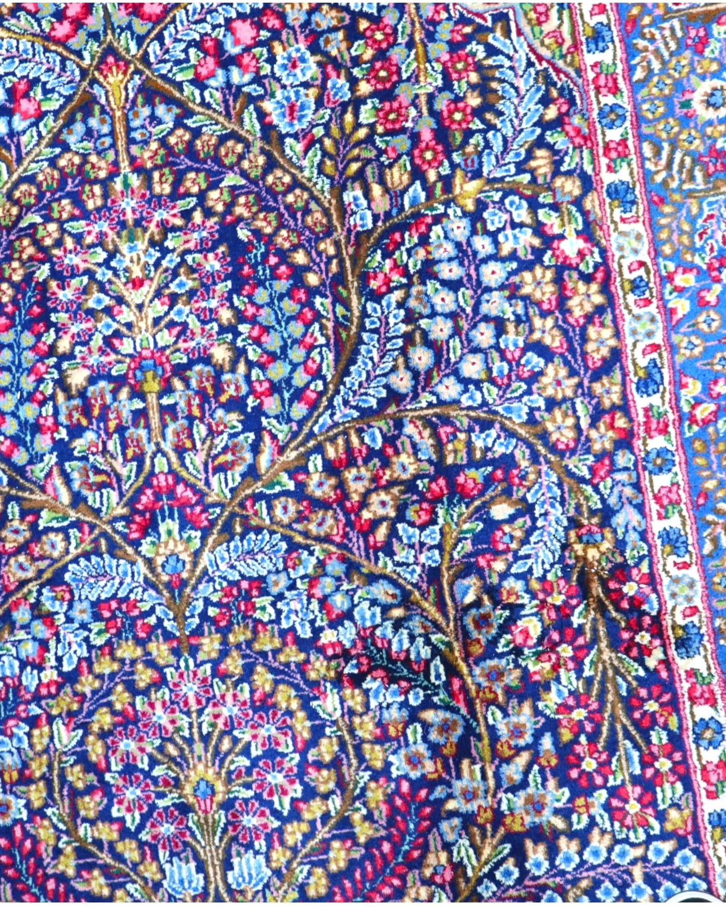 Tappeto Kirman 247x153 cm con fiori e colori intensi per il soggiorno