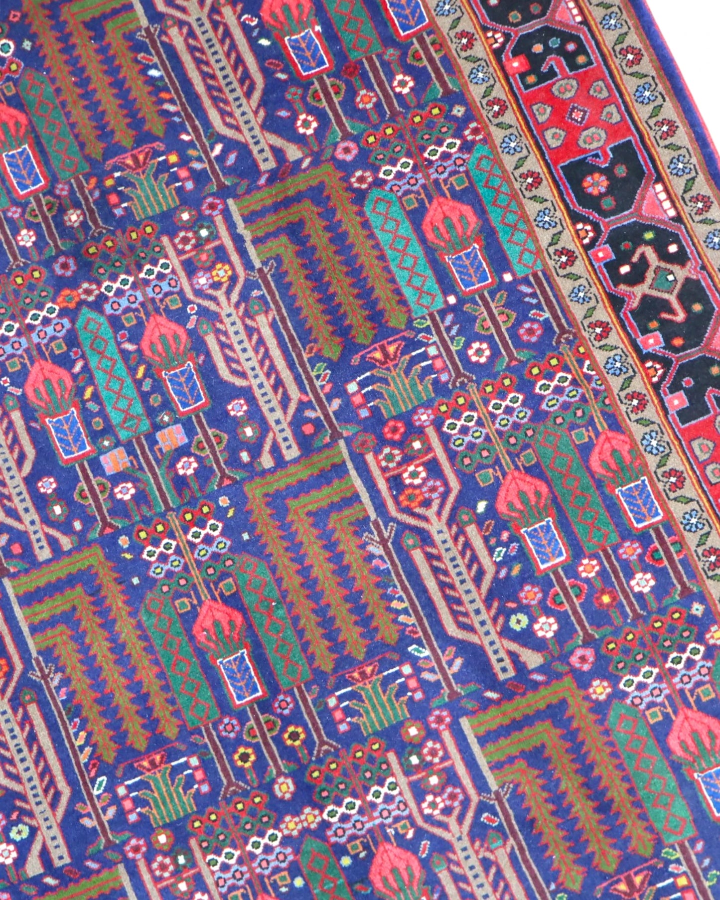 Tappeto Persiano Bijar 254x155cm