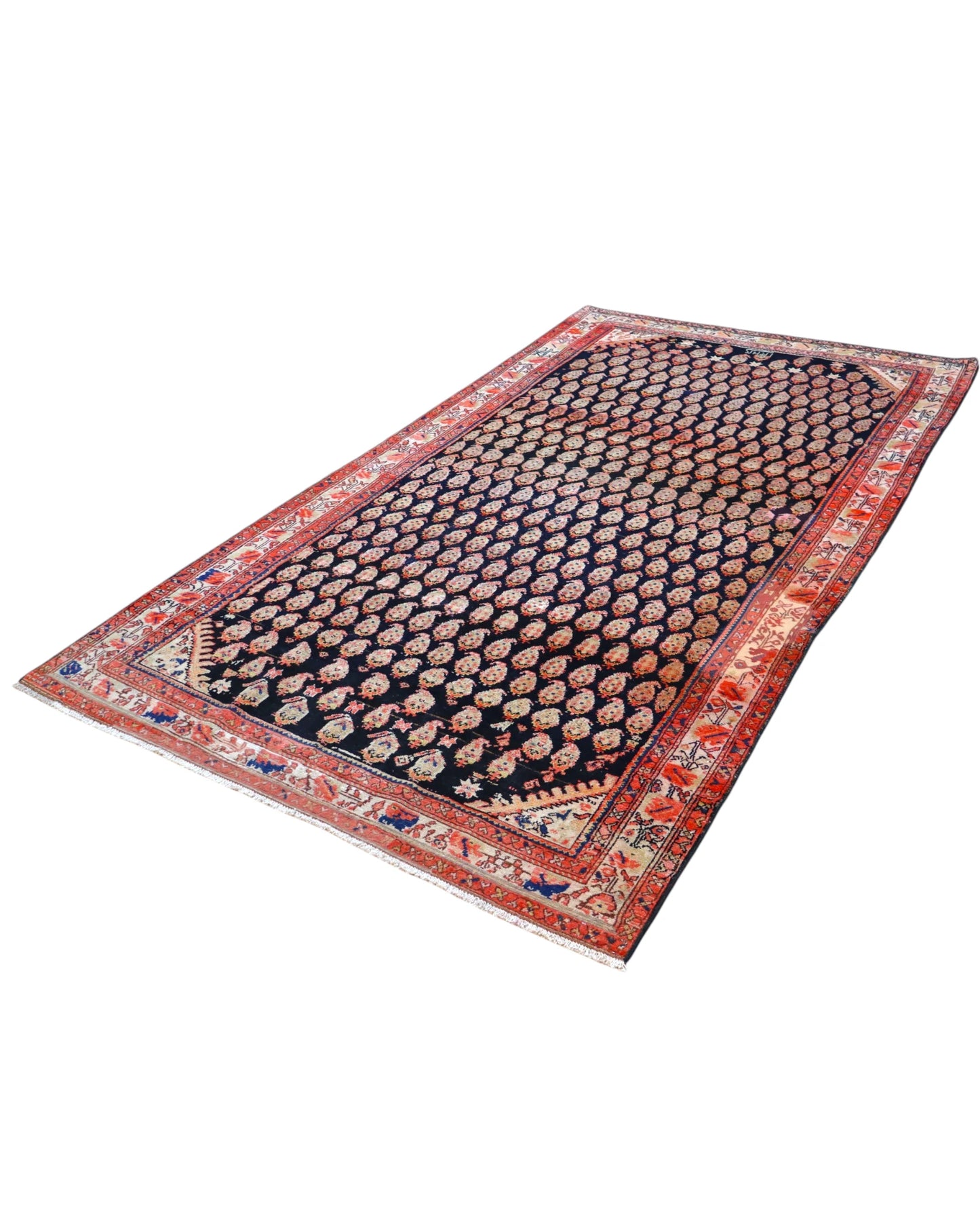 Tappeto Persiano Malayer 305x175cm
