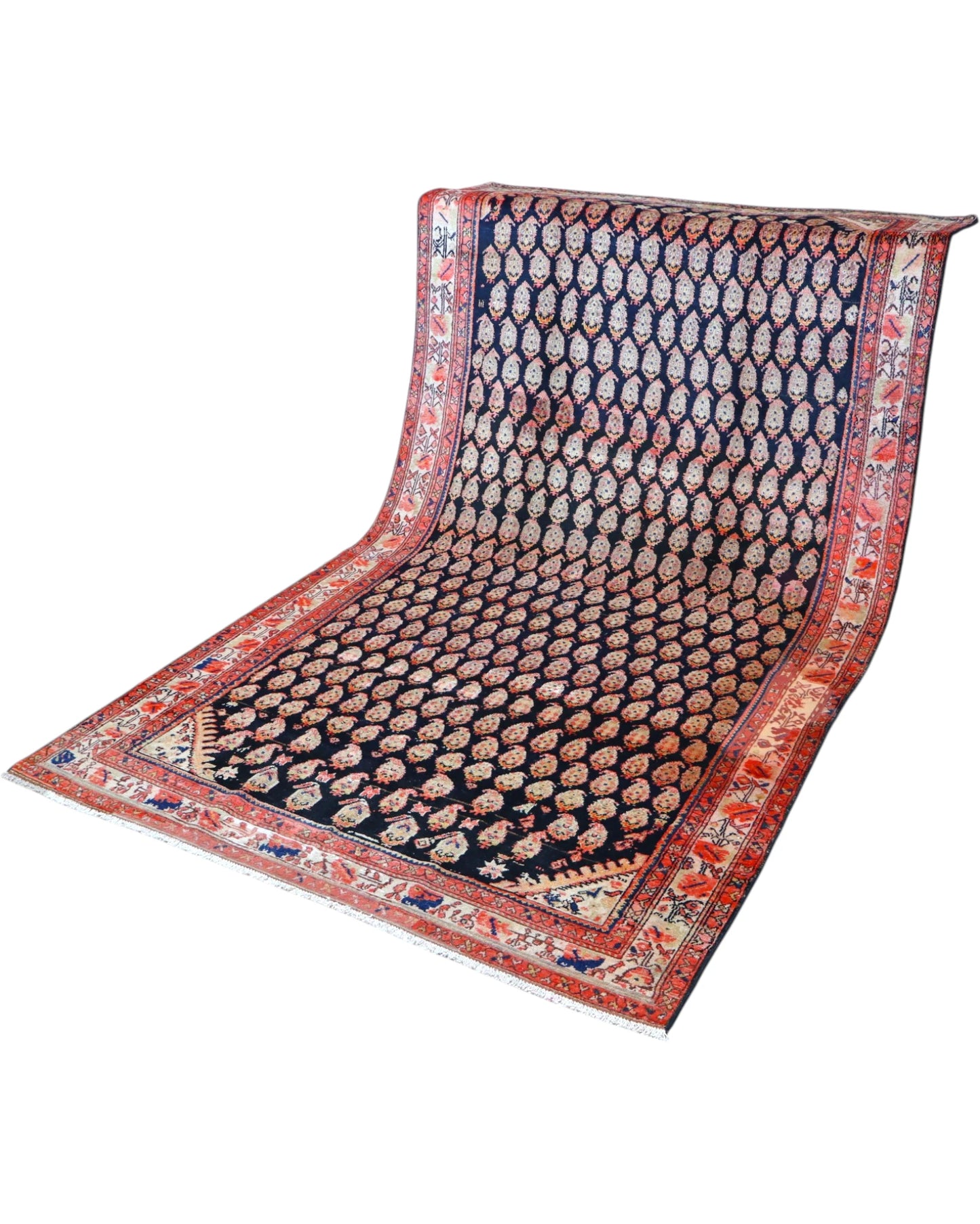 Tappeto Persiano Malayer 305x175cm
