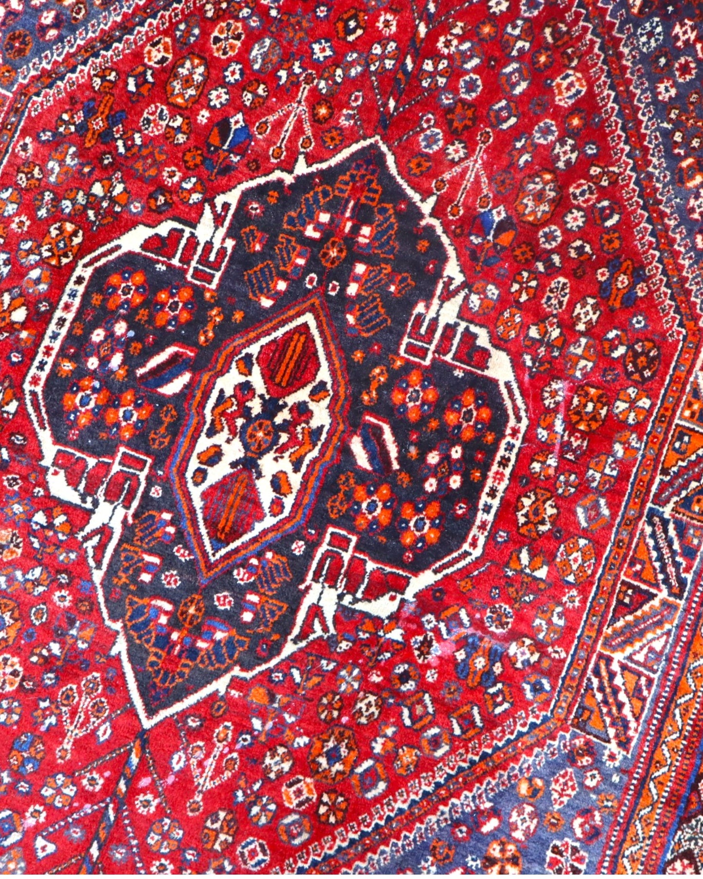 Tappeto Shiraz 233x150 cm, un capolavoro artigianale in rosso e blu.