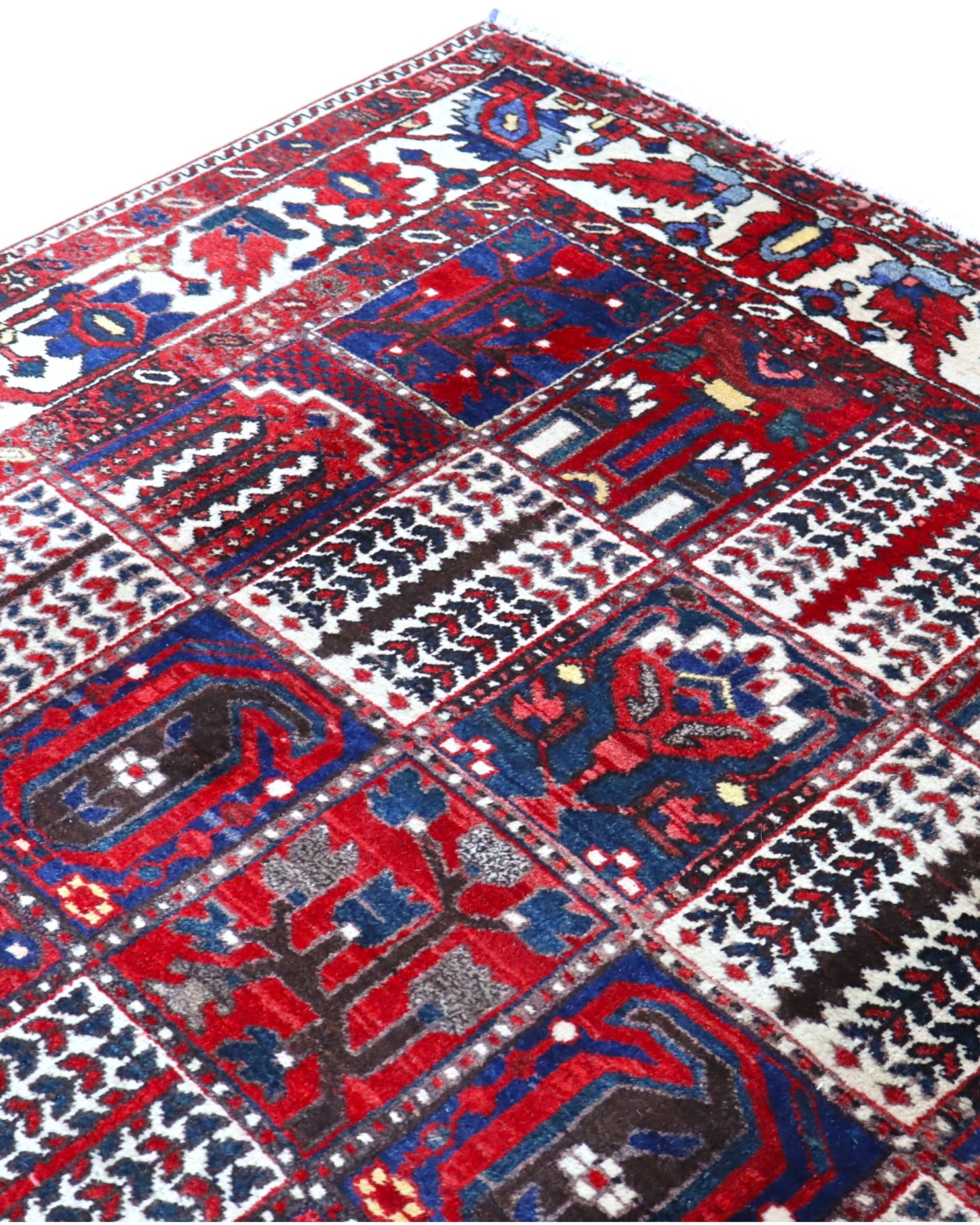 Tappeto persiano Bakhtiar 306x211 cm, motivo a pannelli con decorazioni floreali e geometriche in rosso, blu e avorio, annodato a mano in lana vegetale.