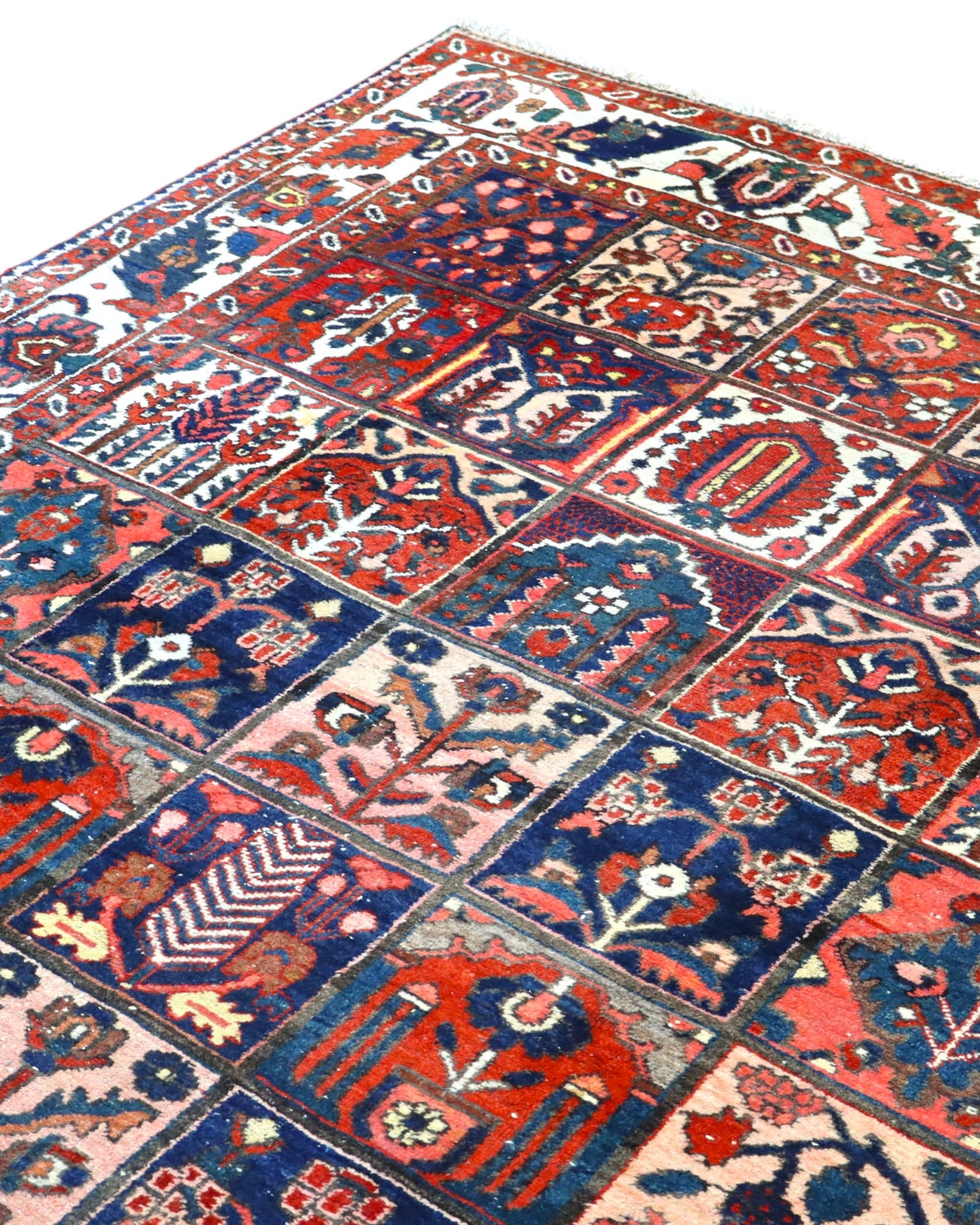 Tappeto Bakhtiyari 305x209cm