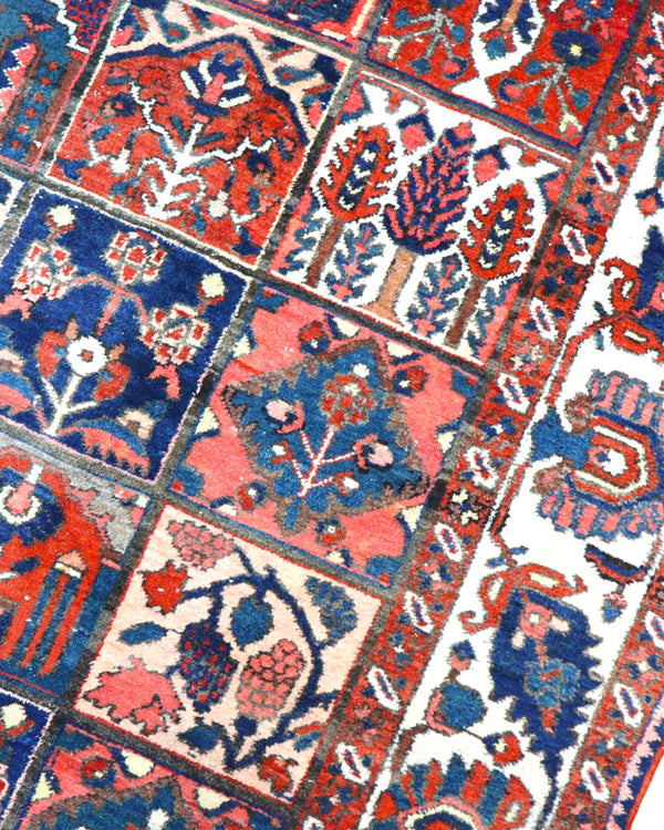 Tappeto Bakhtiyari 305x209cm