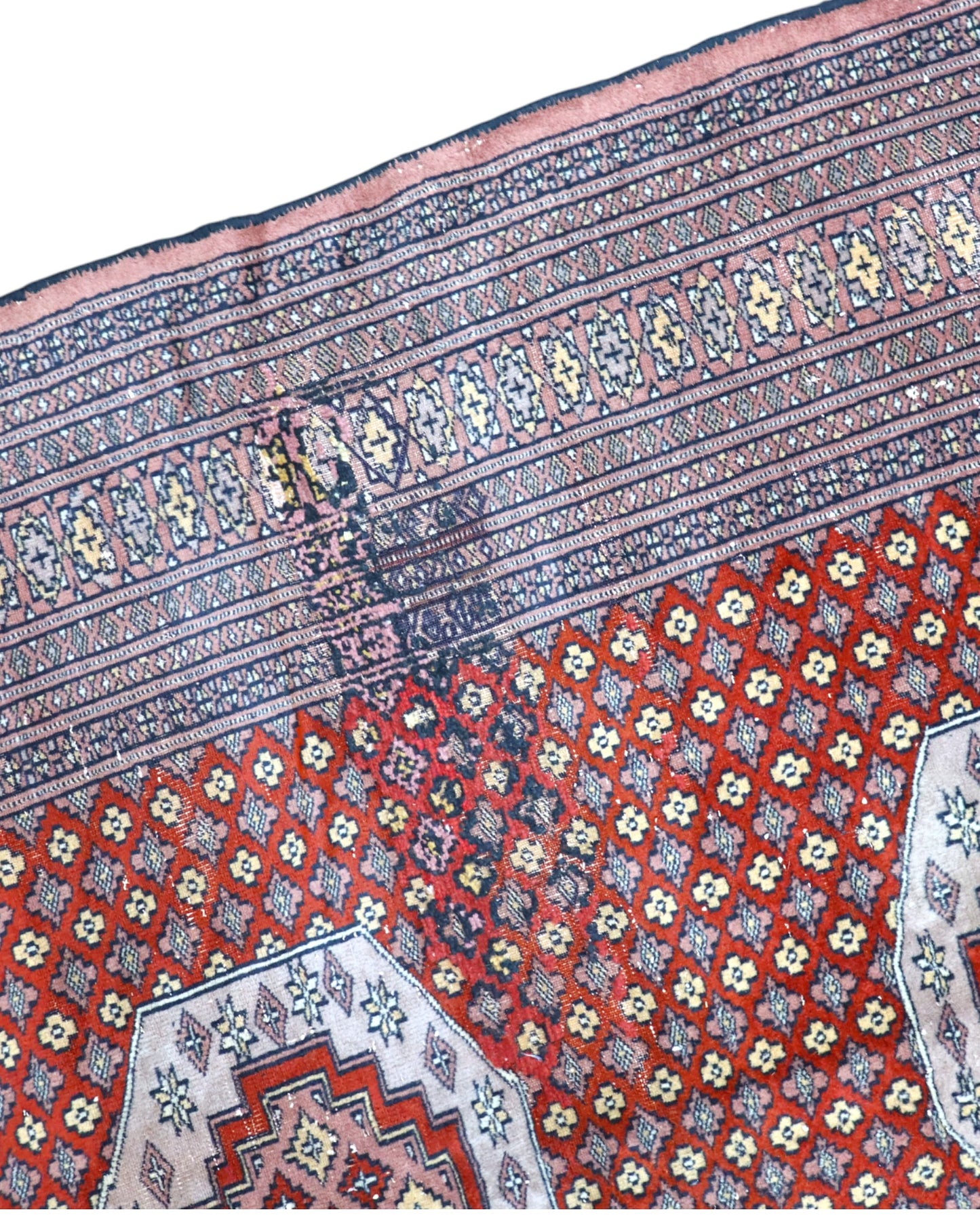 Tappeto Bukhara   276x188cm