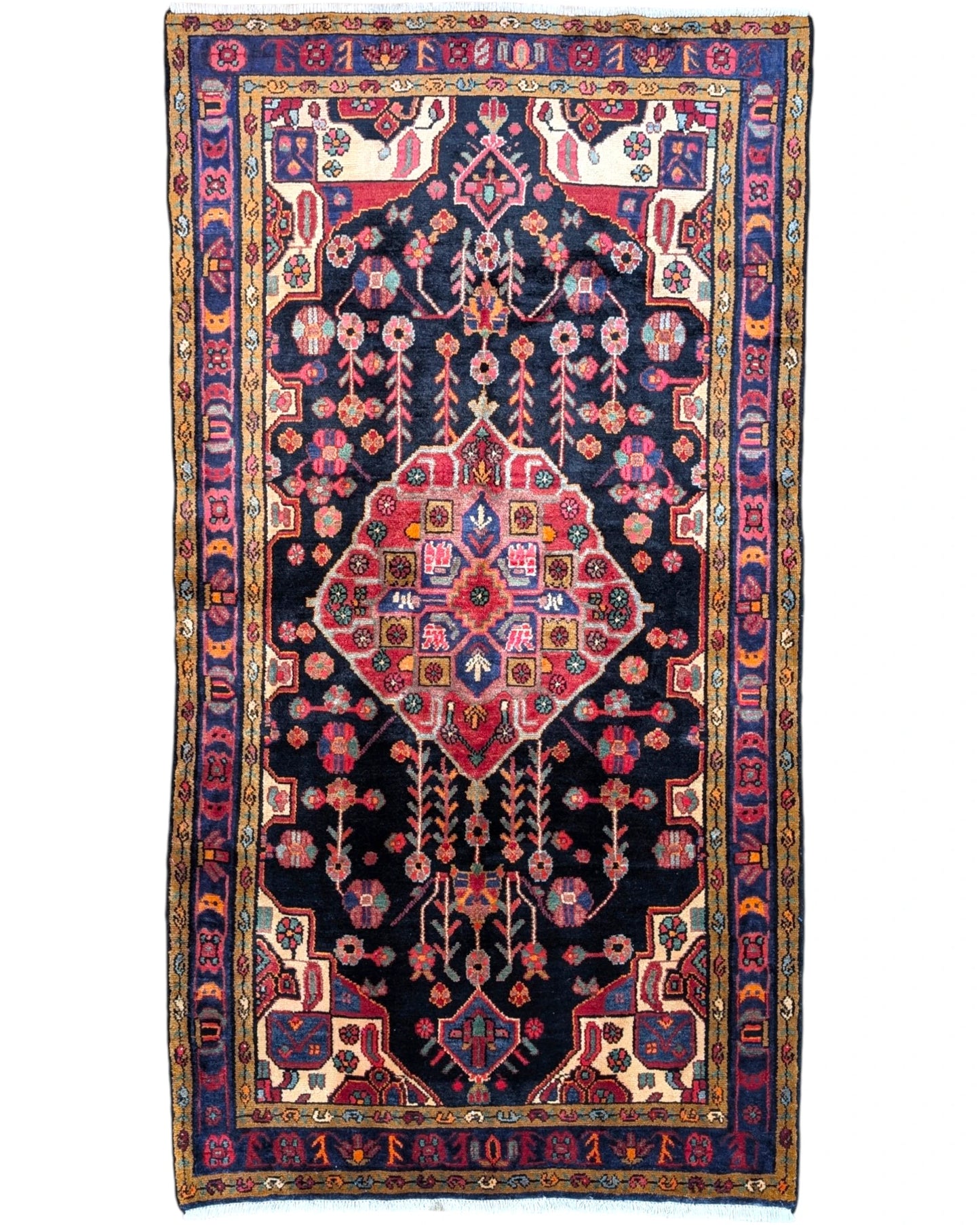 Tappeto 250x152 cm nero e rosso in soggiorno elegante con medaglione floreale persiano.