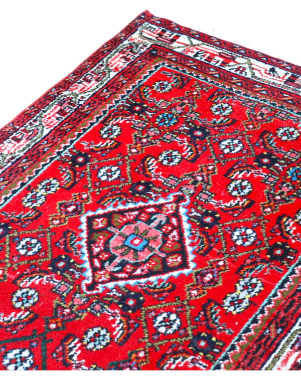 tappeto hamedan tradizionale con design ricco e bordura decorata