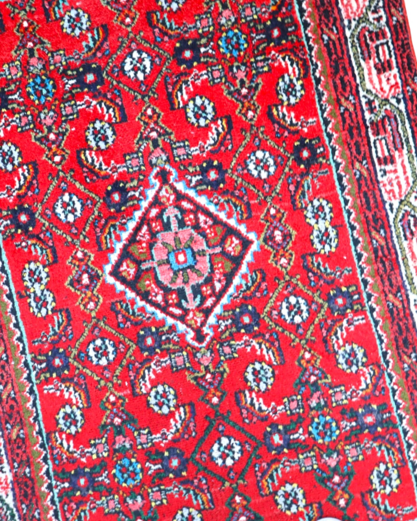 tappeto hamedan tradizionale con design ricco e bordura decorata