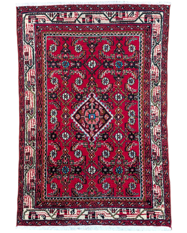 tappeto hamedan tradizionale con design ricco e bordura decorata