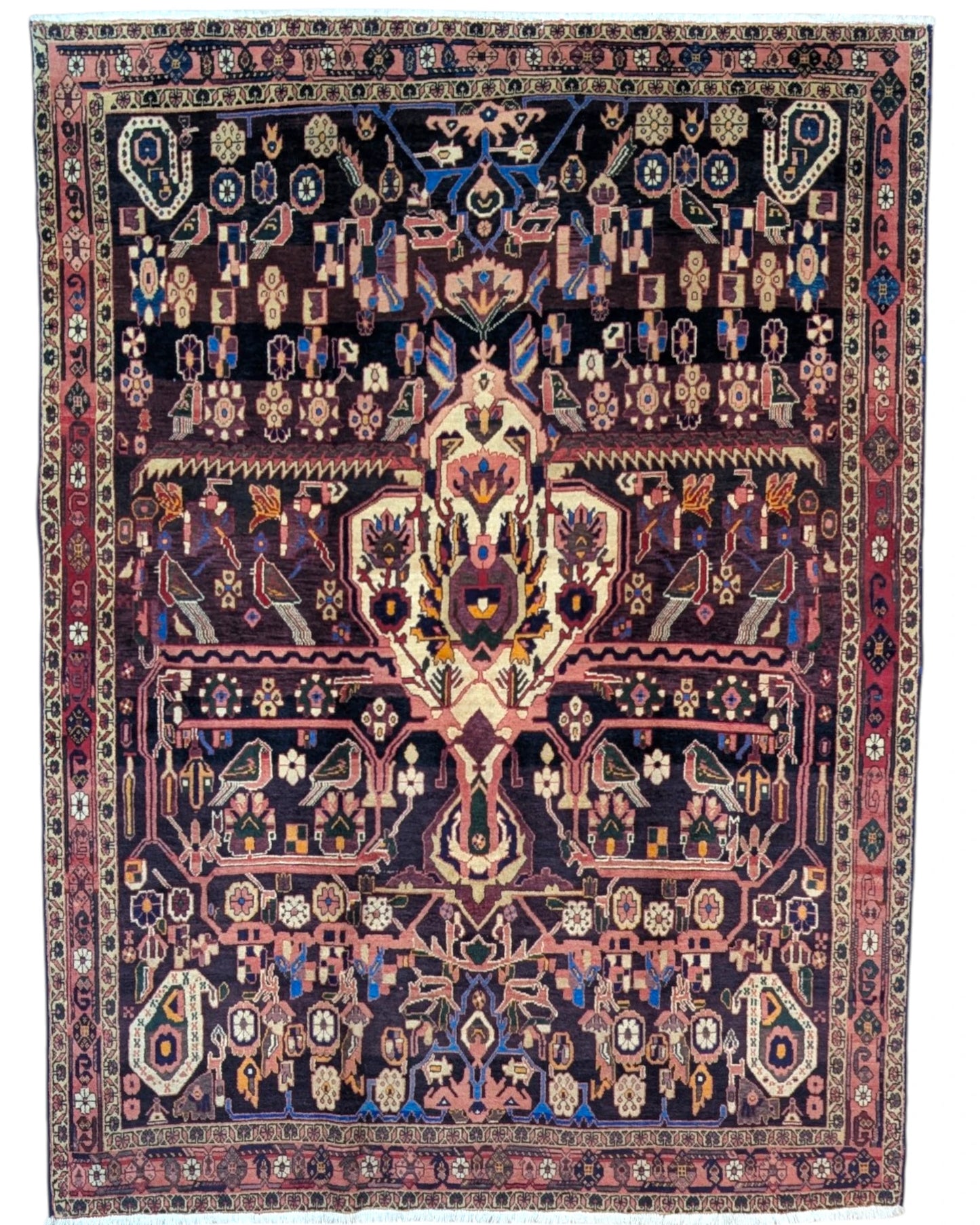 Tappeto persiano Afshari 225x167 cm tribale per soggiorno elegante