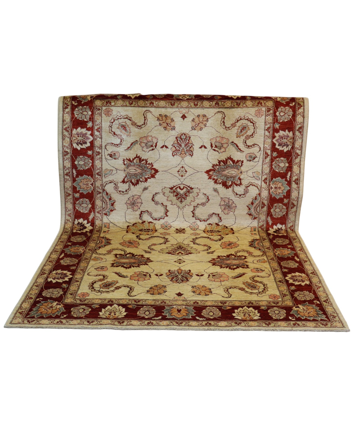 Zigler rug 243x176cm