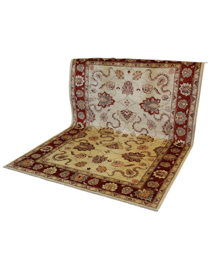 Zigler rug 243x176cm