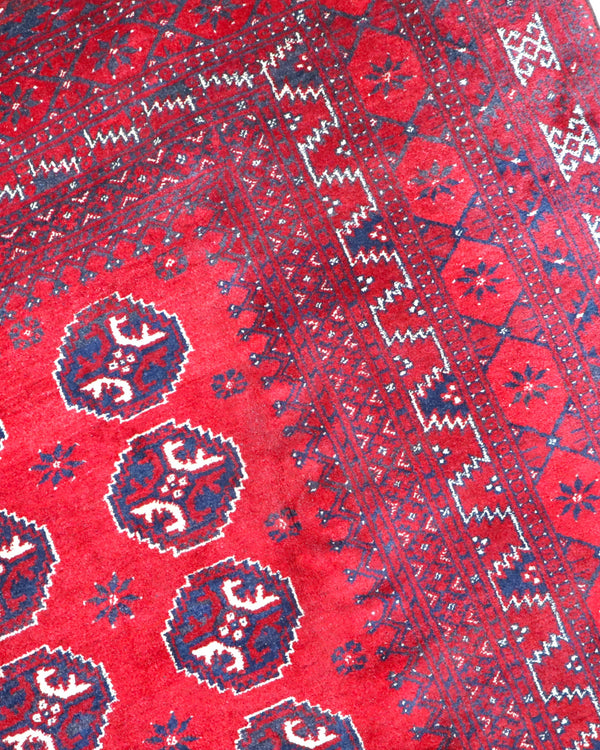 Tappeto Turkman 300x260cm